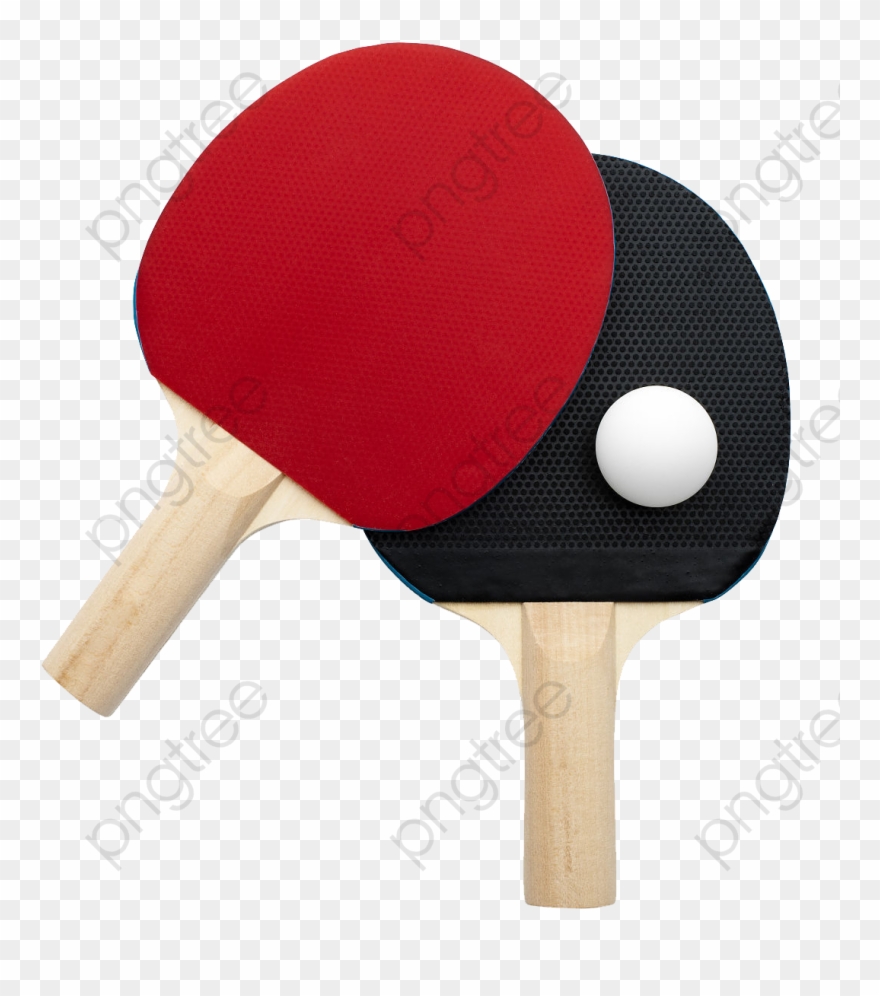 Different Table Tennis Bats Table Tennis Clipart - 卓球 ラケット - Png Download