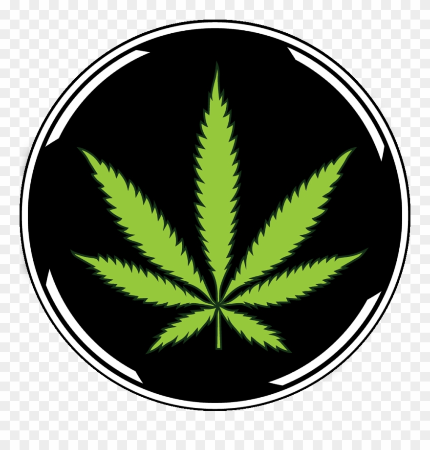 Marijuana Leaf Icon Png - White Cannabis Leaf Clipart