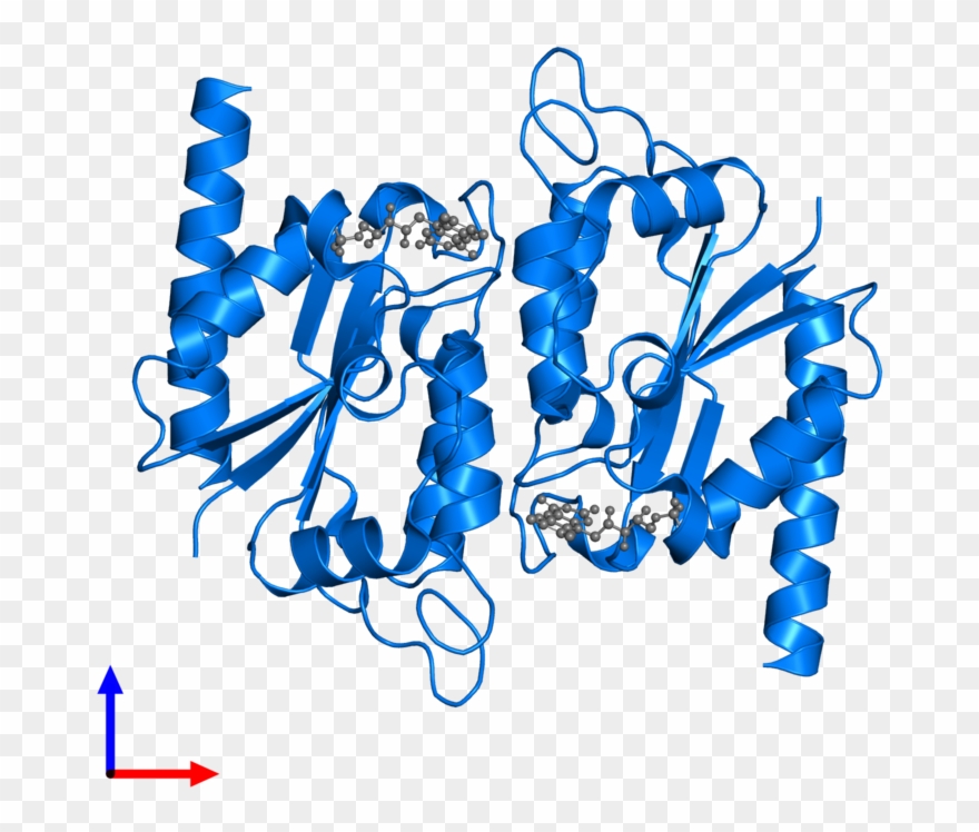 <div Class='caption-body'>pdb Entry 3f2v Contains 2 Clipart