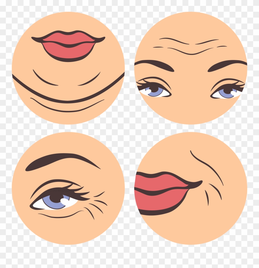 Wrinkle Face Botulinum - Wrinkles Vector Clipart