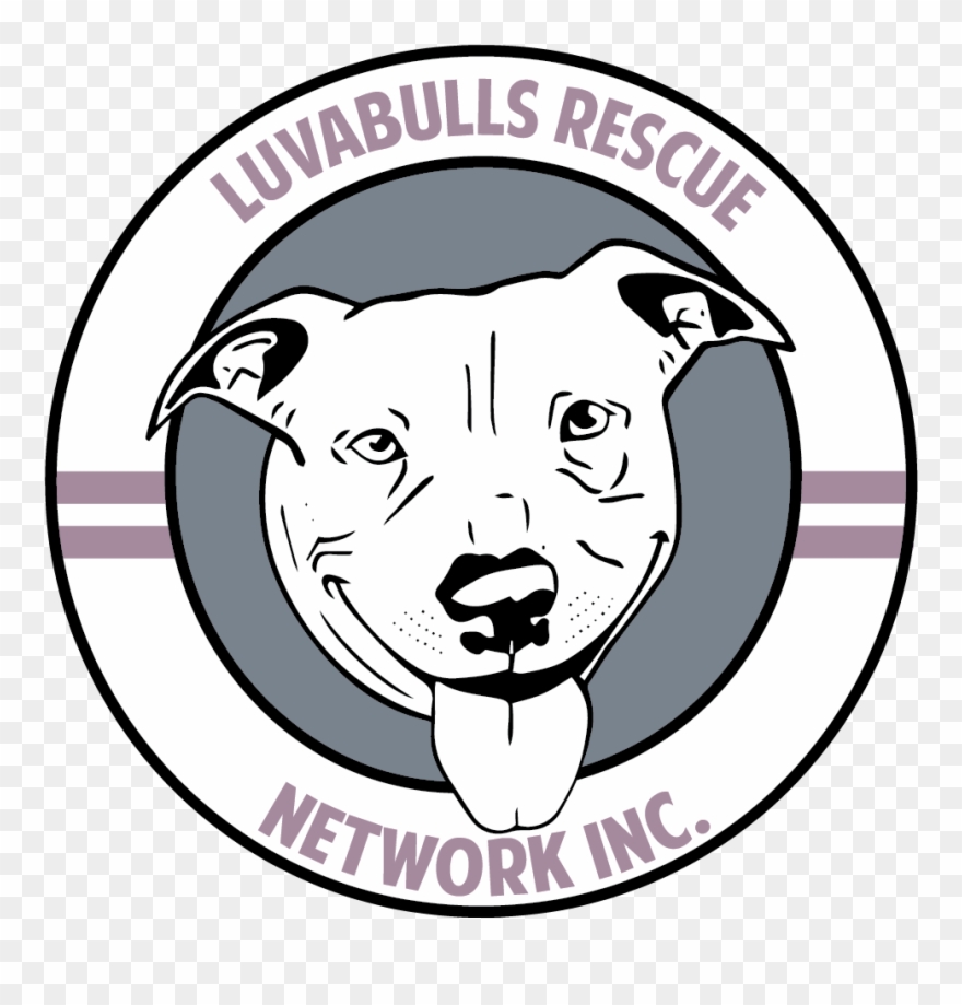 The Illustration Was Then Taken Into Adobe Illustrator - Map Clipart