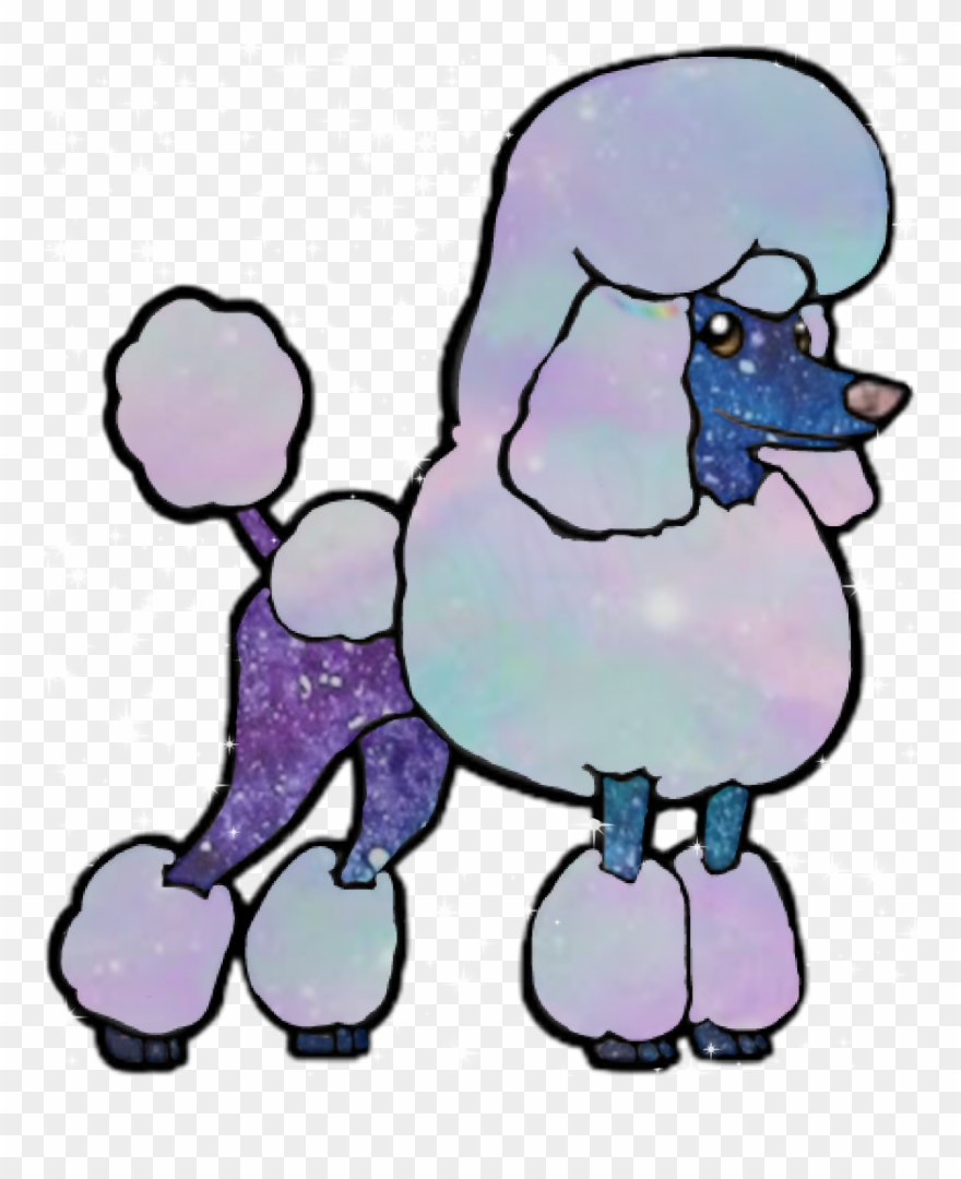 Miniature Poodle Clipart