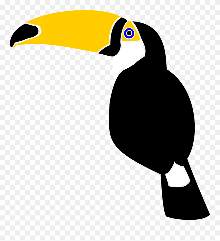 Toucan Bird Jungle Rainforest Feather Nature - Toucan Clipart