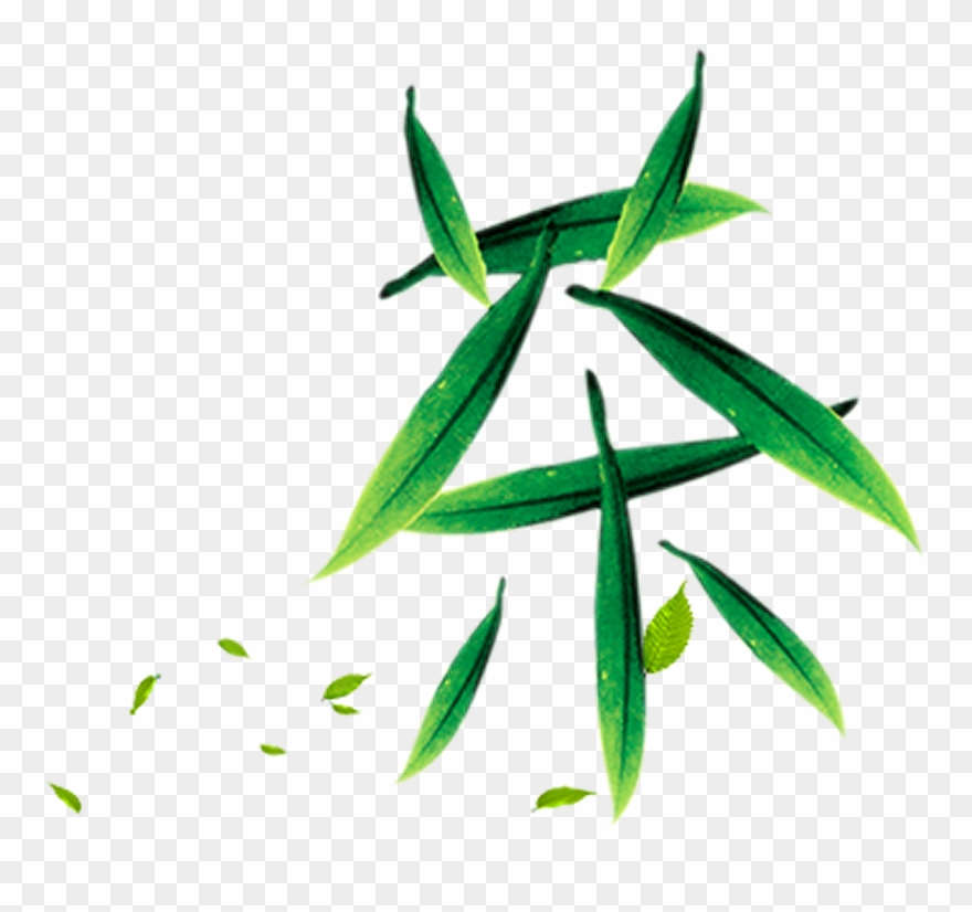 Green Leaf Art Tea Font Design - 茶 素材 Clipart