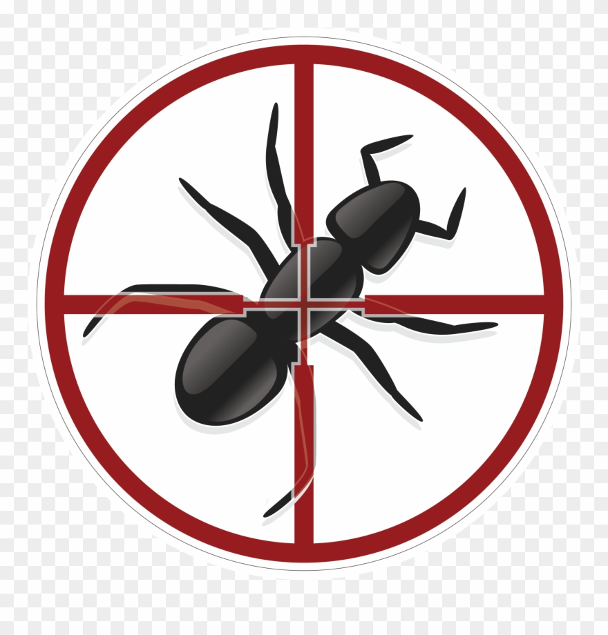 Universal Pest & Termite - Ant Clip Art - Png Download