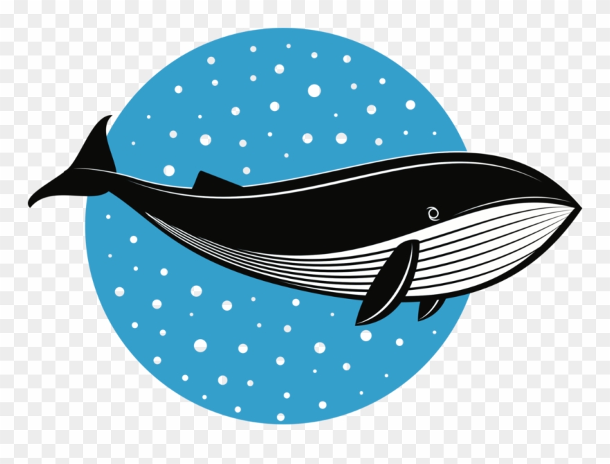 Whales Fish Logo Dolphin Drawing Cc0 - Blue Whale Clipart