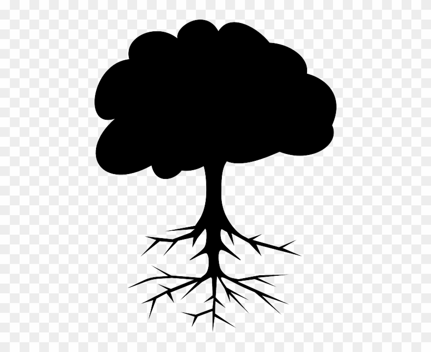 Part Of Tree Name Clipart
