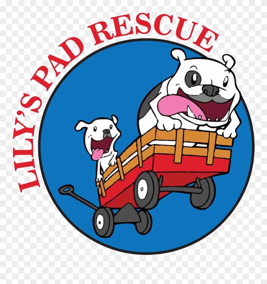 Lily Pad Clipart Lake - Png Download