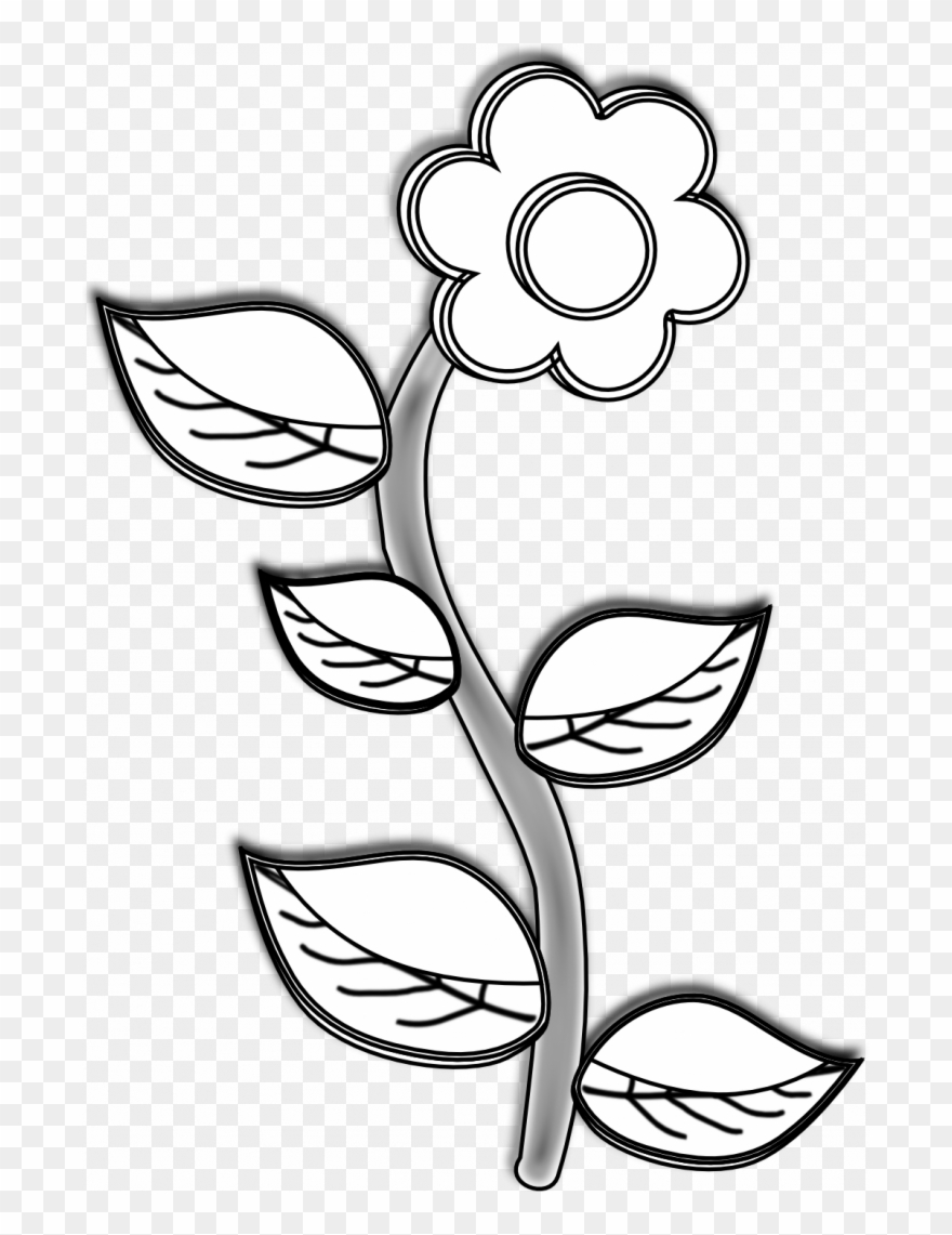 Medium Size Of Line Drawing Animals Clipart Camera - Plant In Black And White - Png Download