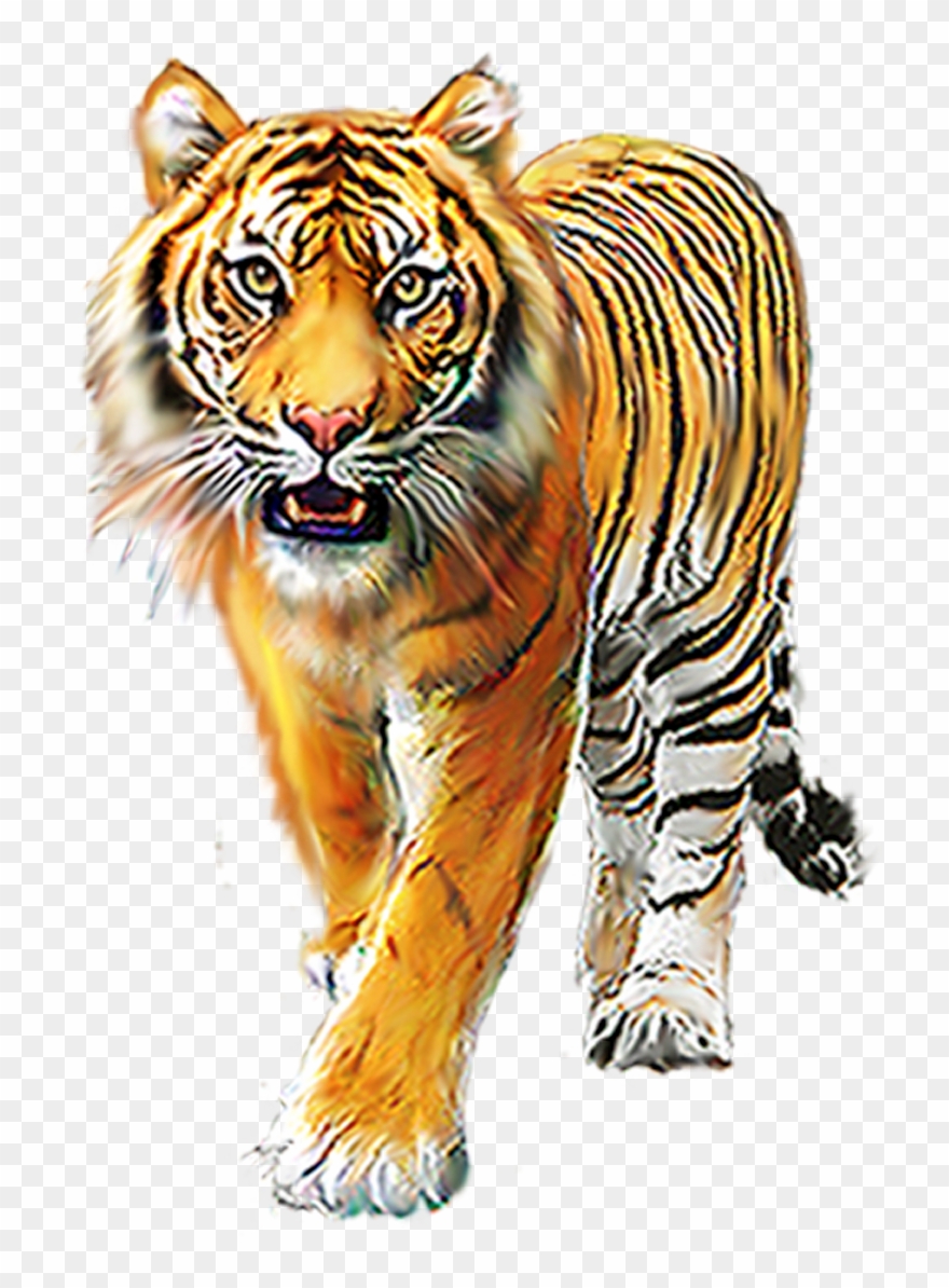 Cartoon Tiger, Background Images For Editing, Picsart - Animals Png Images Download Clipart