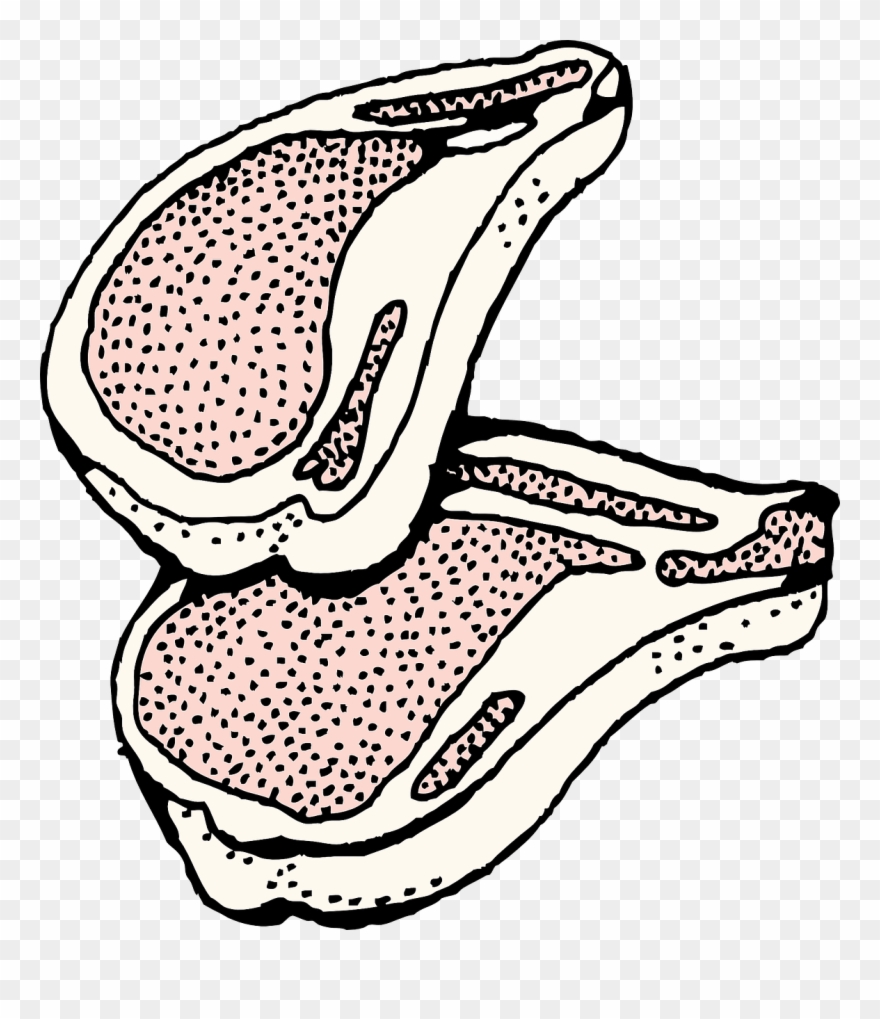 Chuleta De Cerdo Dibujo Clipart
