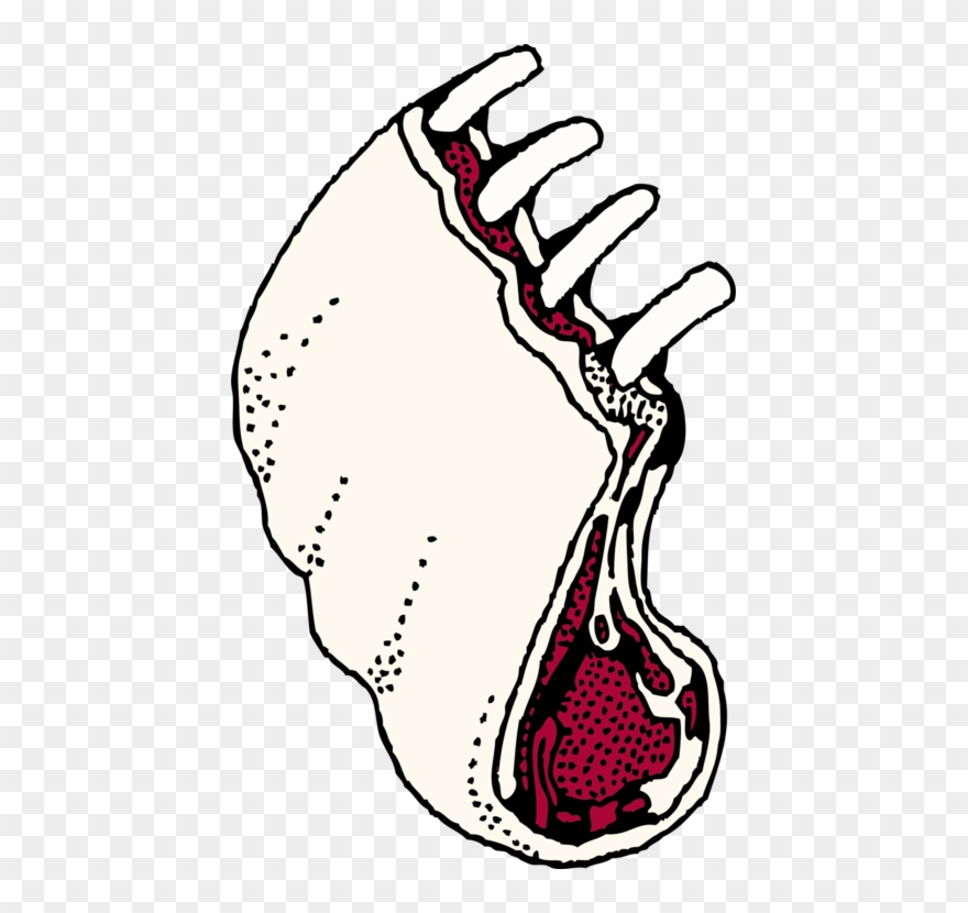 Sheep Lamb And Mutton Meat Chop Ribs - Rack Of Lamb Drawing Clipart