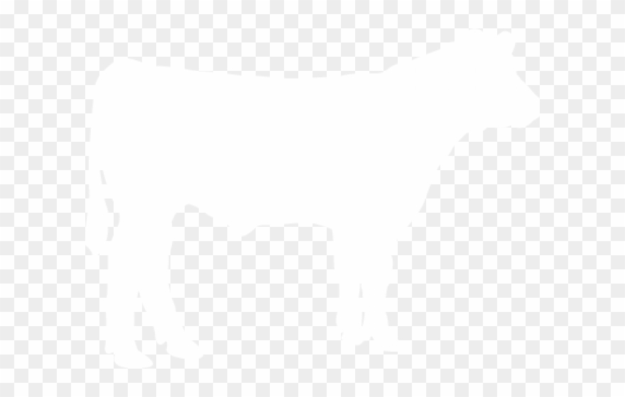 Beef Clipart Heifer - Market Steer Clip Art - Png Download