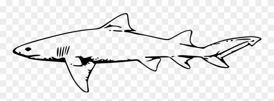Whale Black And White Swimming - Shark Clipart Black And White - Png Download