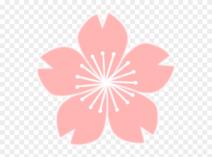 Good Cherry Blossom Drawing Flower Cc0 - Drawn Cherry Blossom Png Clipart