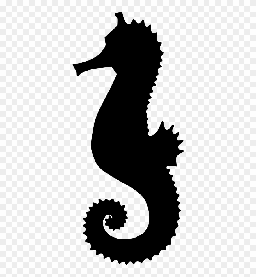 Download Png - Caballo De Mar Clipart Transparent Png
