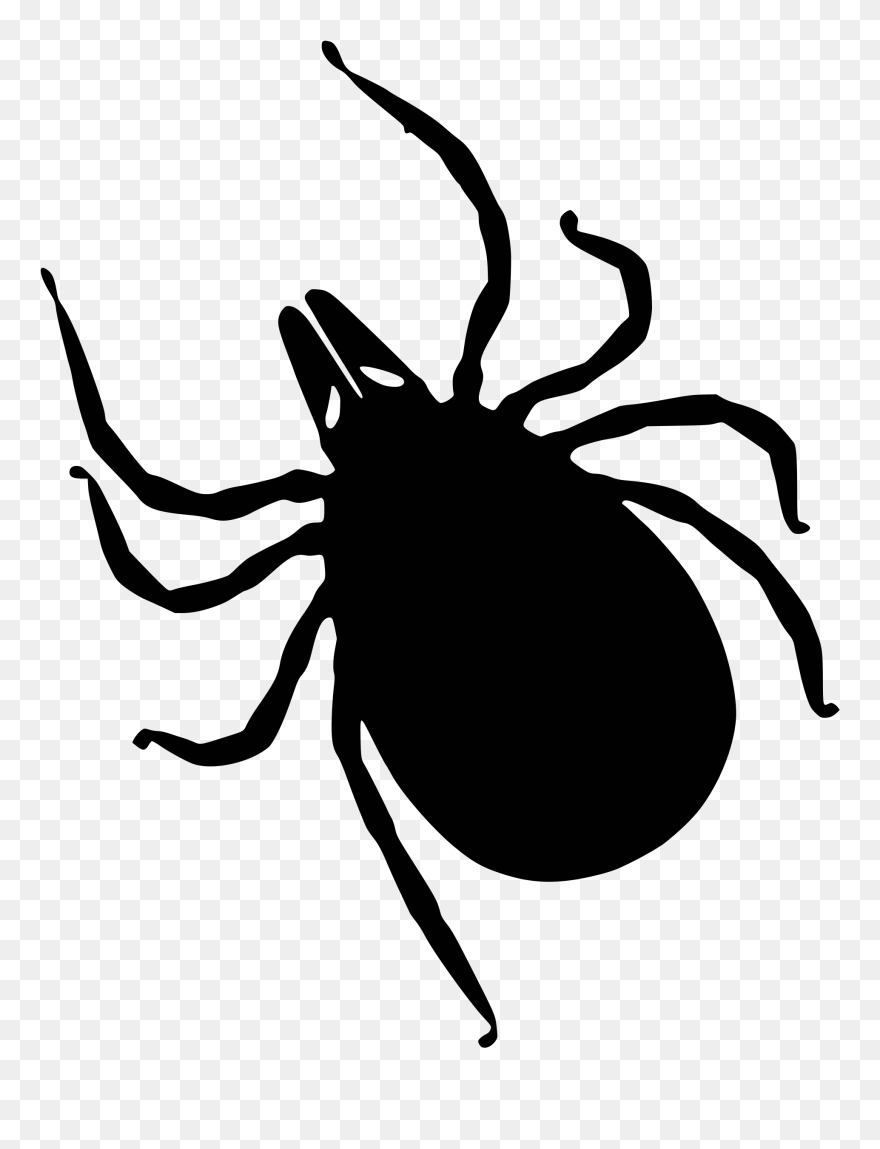 Living With Chronic Lyme Disease - Tick Silhouette Clipart