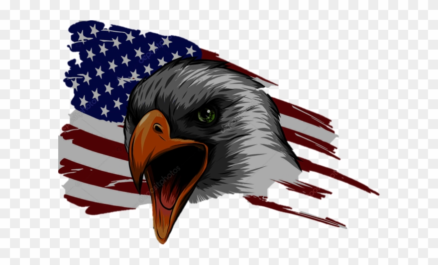 Chester - American Flag White Eagle Clipart