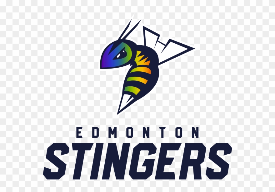 Edmonton Stingers Professional Basketball Team - Edmonton Stingers Logo Clipart