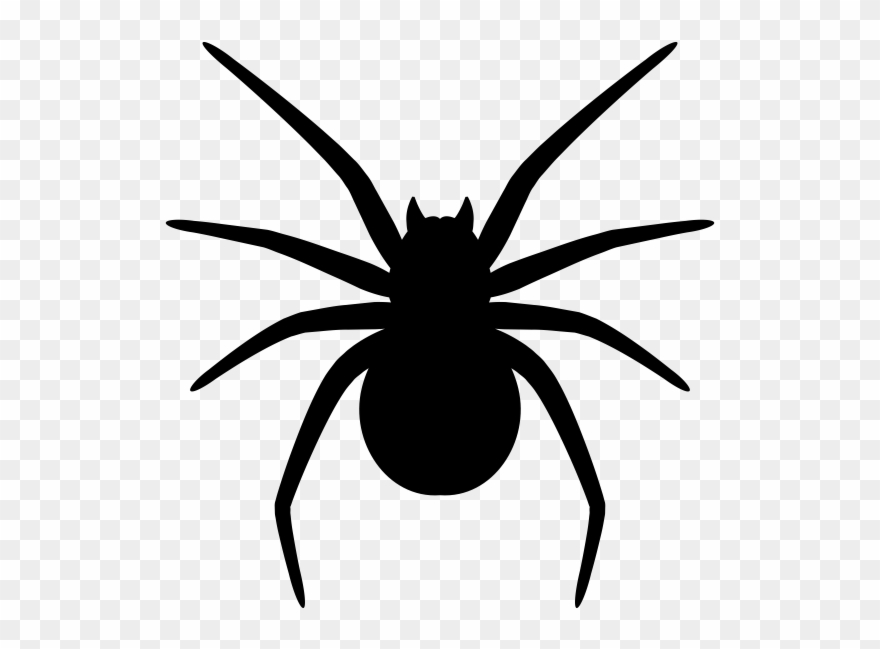 Spider Png Silhouette - Wolf Spider Clipart