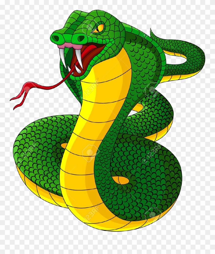 Cobra Snakes Clipart - Green Mamba Clip Art - Png Download
