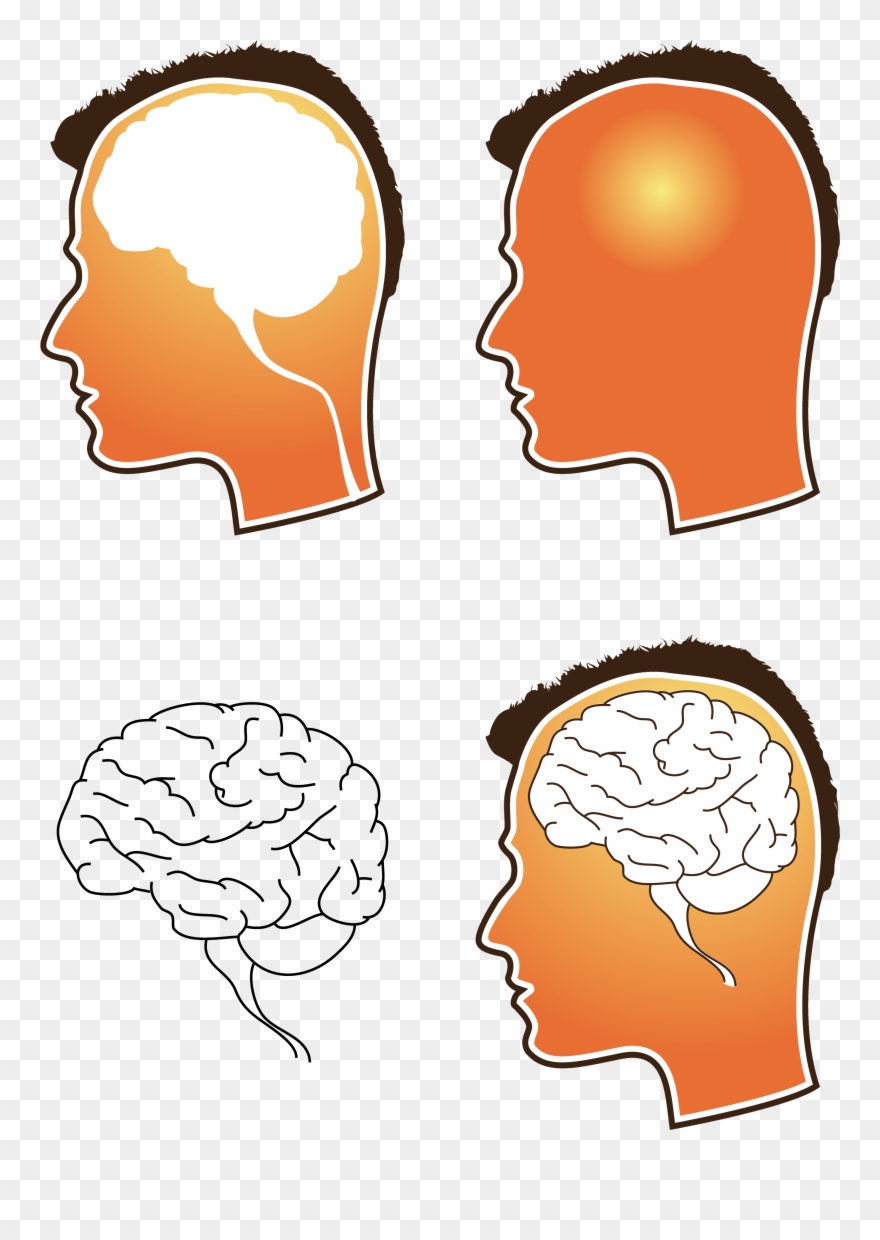 Free Vector Human Brain Vector - Free Vector Brain Clipart