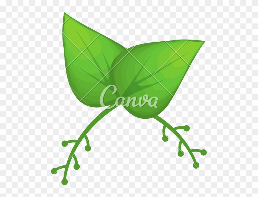 Floral Png Rustic - Canva Clipart