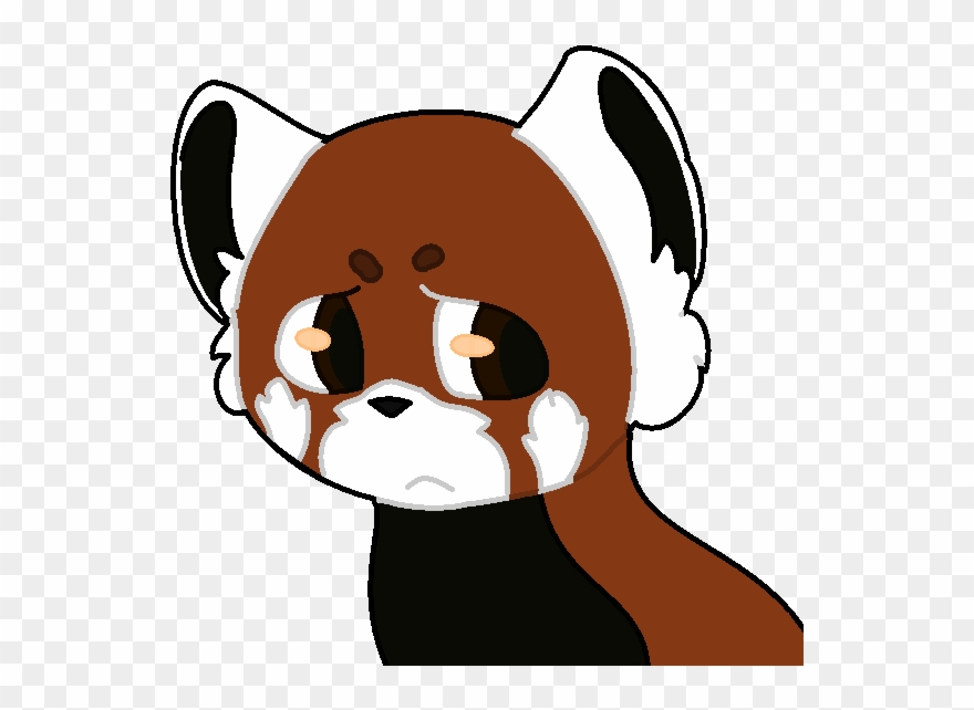 Drawing Pandas Eye - Red Panda Drawing Sad Clipart