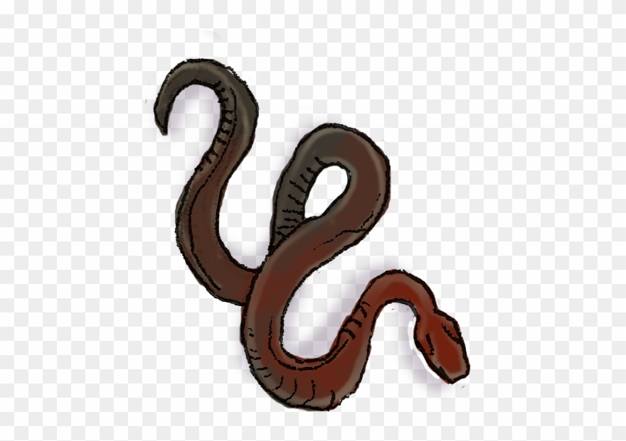 Snake 2 - Millipedes Clipart
