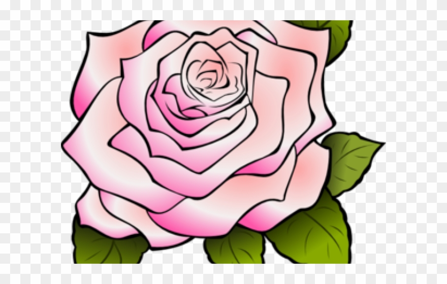 Pink Rose Clipart Pink Cartoon - Rose Outline Transparent Background - Png Download