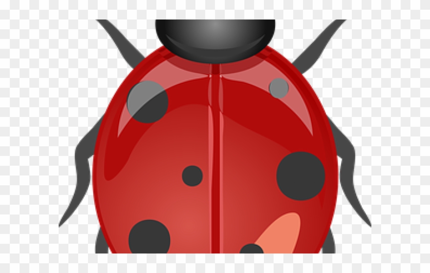 Lady Beetle Clipart Garden Creature - صورة الدعسوقة - Png Download