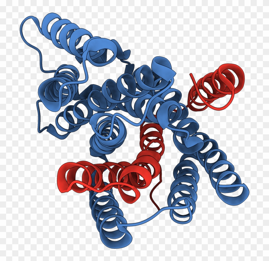 Chains Colored In Rainbow - Illustration Clipart