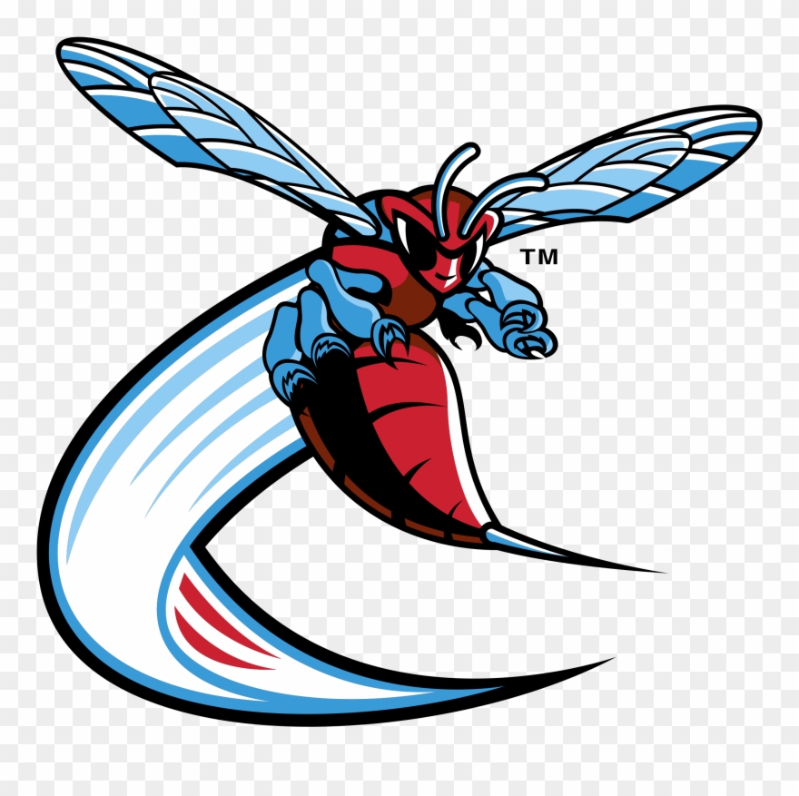 Delaware State Hornets Logo Png Transparent - Delaware State Hornets Logo Clipart