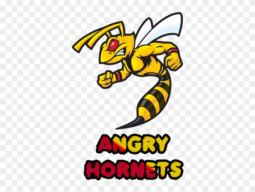 Characteristics Of Common Wasps And Bees Clipart