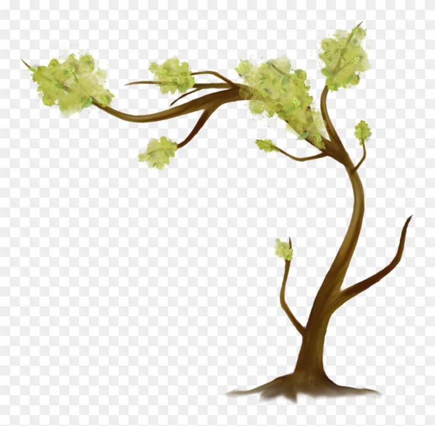 Яндекс - Фотки - رسم زهور واشجار غريبه Clipart