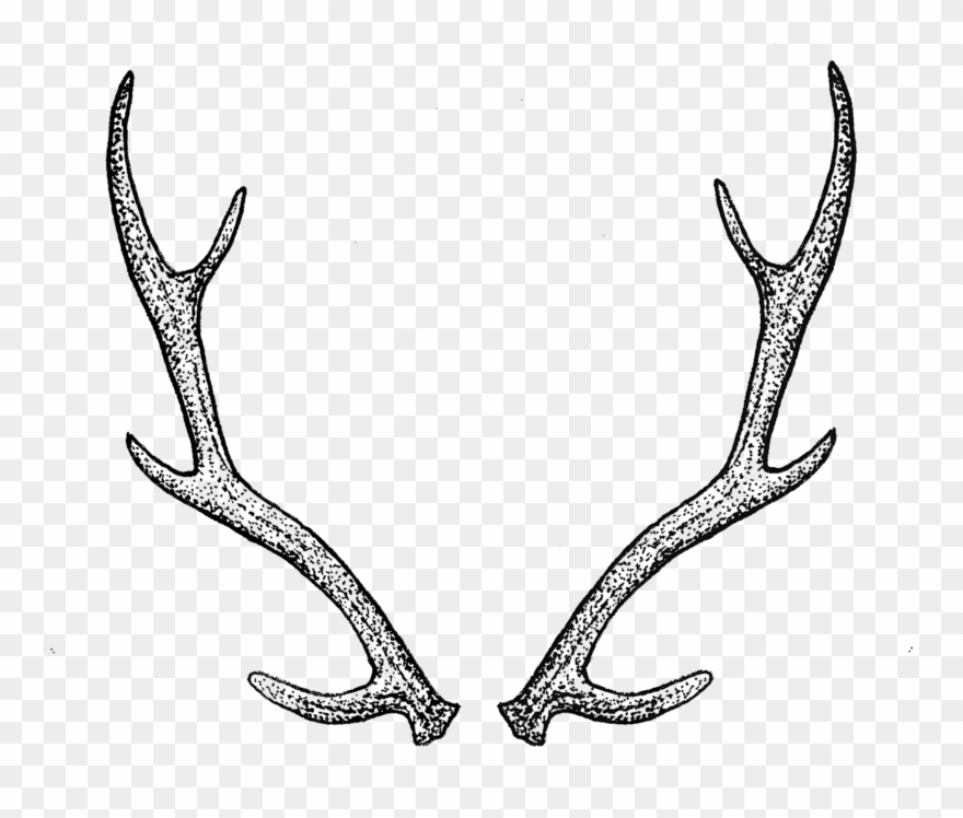 Antlers By Tea Leigh Deer Horns Tattoo Clipart 4886101