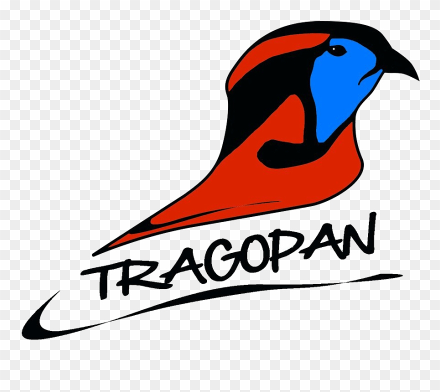 Tragopan V Tarnzelt Entwickelt Für Tier- & Naturfotografie Clipart