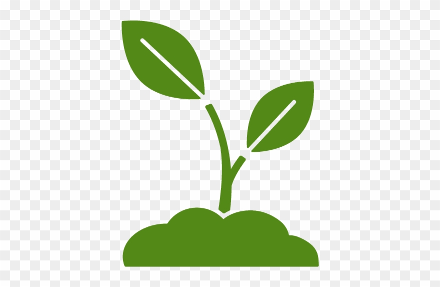 Vegetables - Illustration Clipart