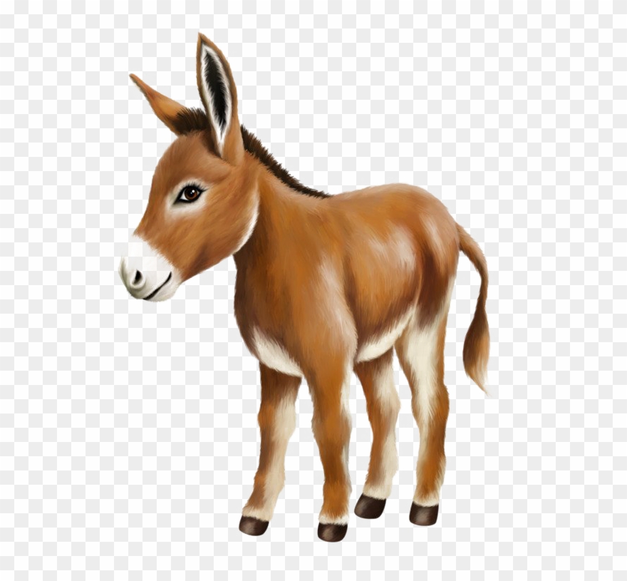 Donkey Png Image Hd - صورة حمار Clipart