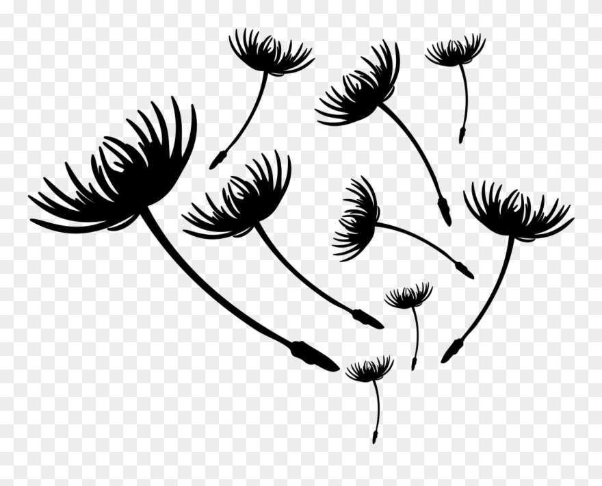 Blowing Dandelion Png Clipart