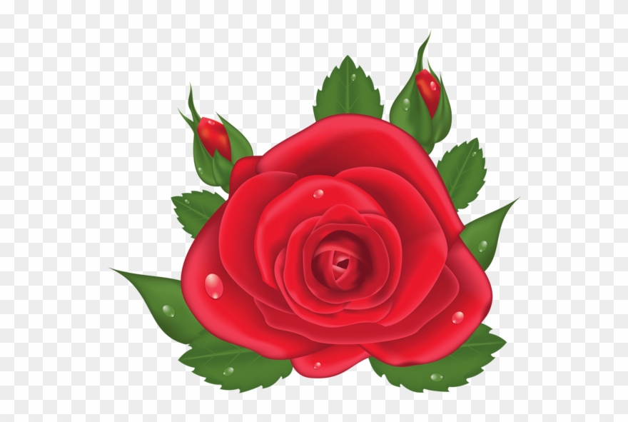 Red Rose Png, Red Roses, Love Rose, Clip Art, Plants, - Flores Vermelha Em Png Transparent Png