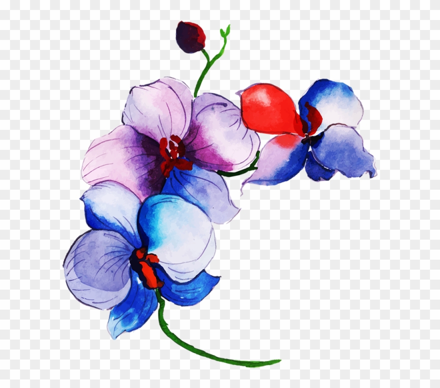 Free Png Floral Bouquets - Tulip Clipart