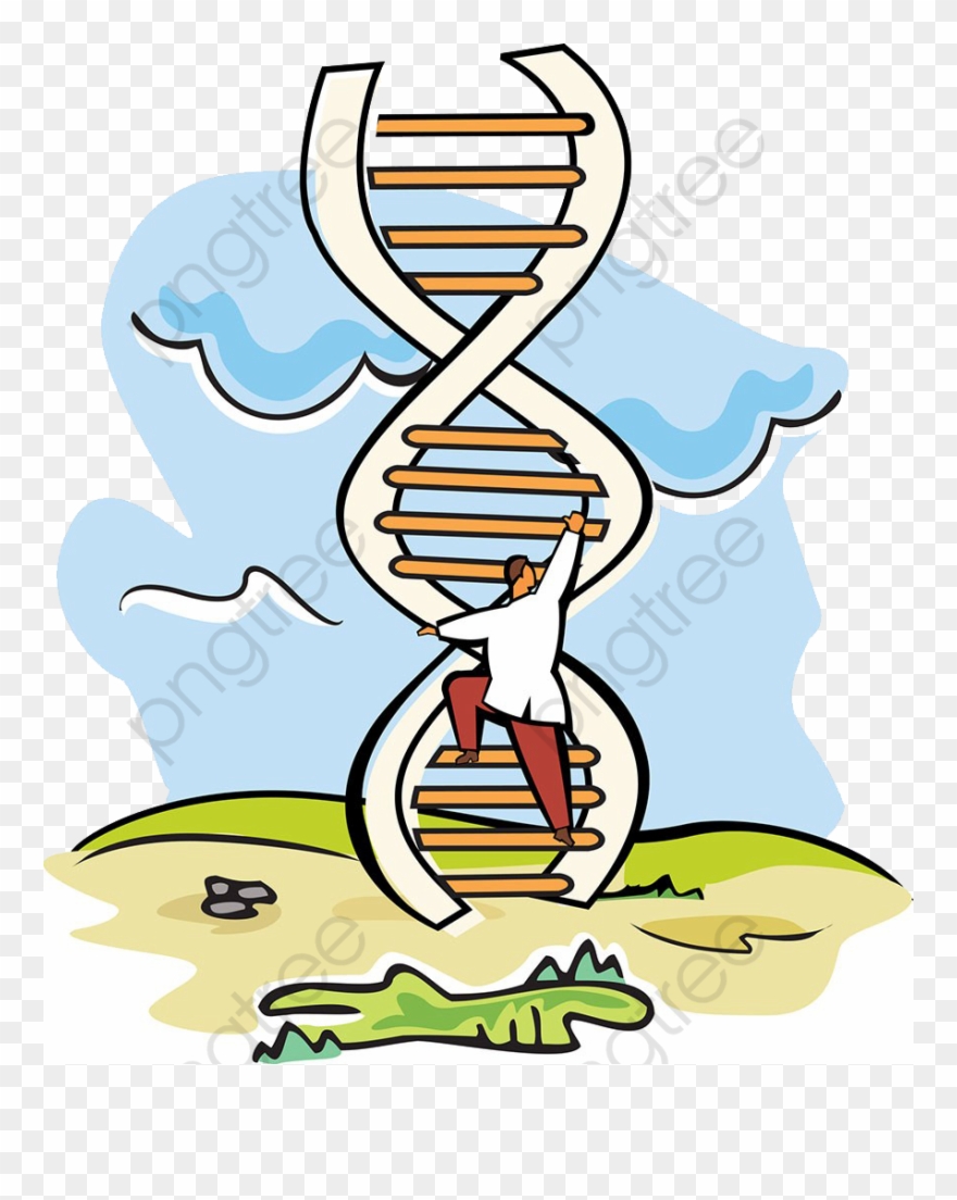Scientific Experiments Dna Ladder - Dna Ladder Drawing Clipart