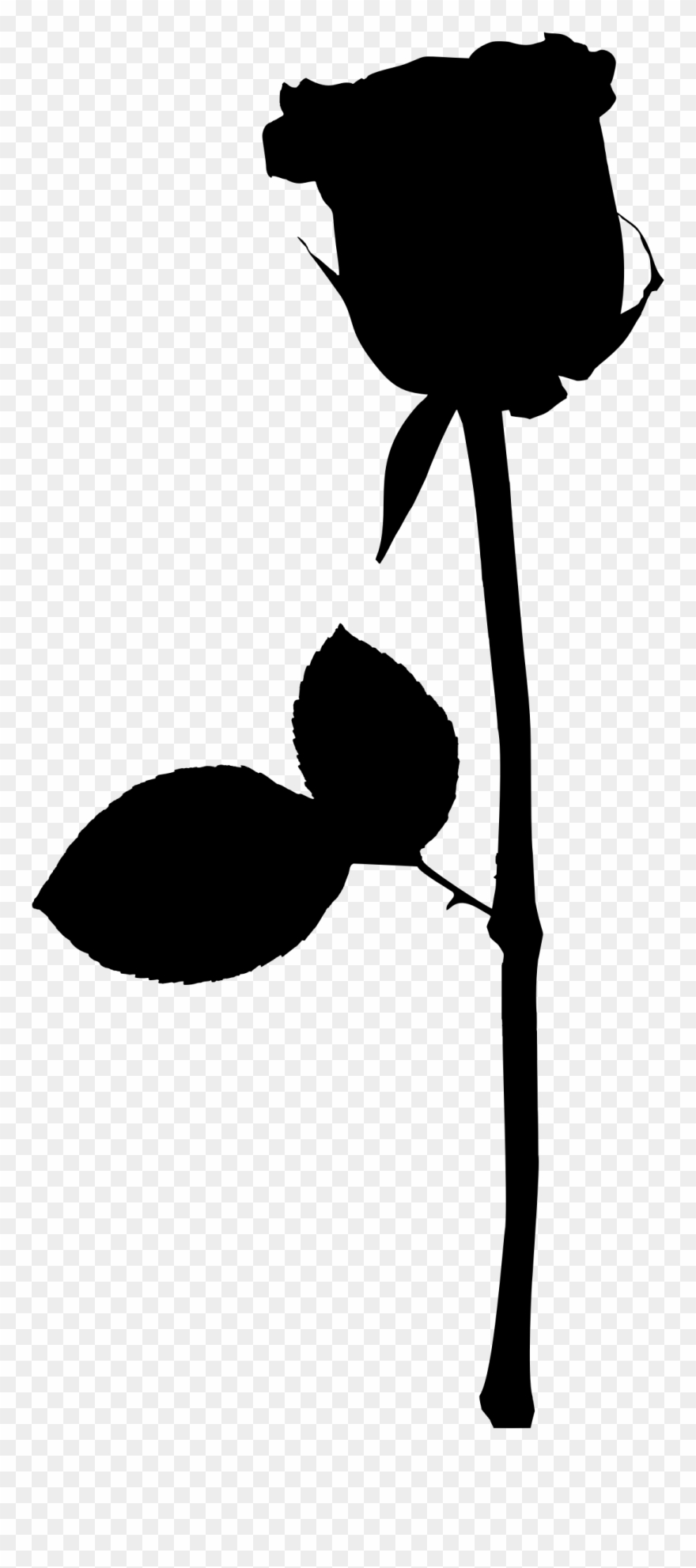 Rose Black And White Clipart Climbing - Silhouette - Png Download