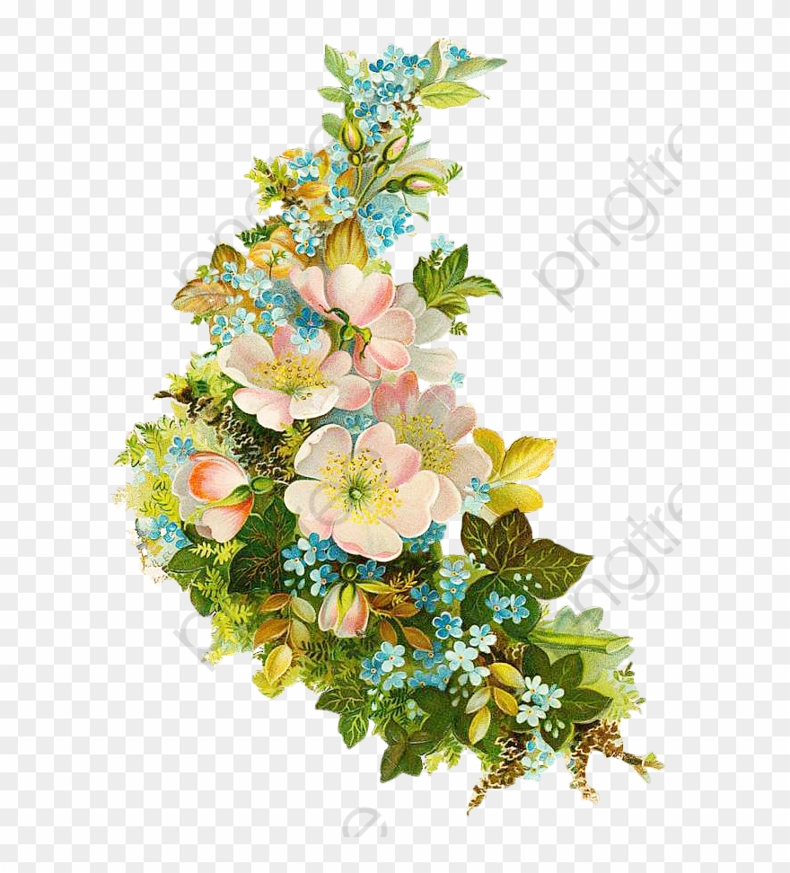 Floral Clipart Vintage - Floral Vintage Png Transparent Png