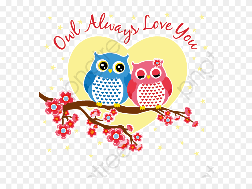 Love Clipart Owl - Cute Owl Couple - Png Download