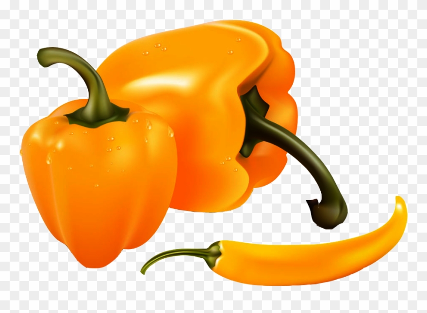 Bell Banana Clip Art Persimmon Vector - Realistic Bell Pepper Drawing - Png Download