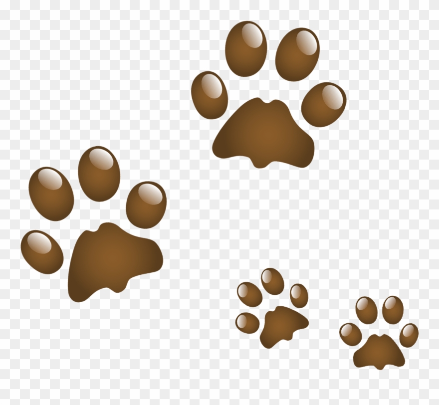 Anjing Clip Art Kucing Transparan Png - Paw Print Tattoo With Pet Name Transparent Png