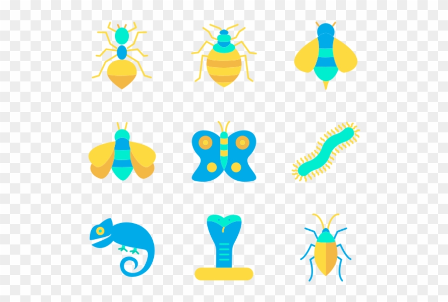 Insects Clipart