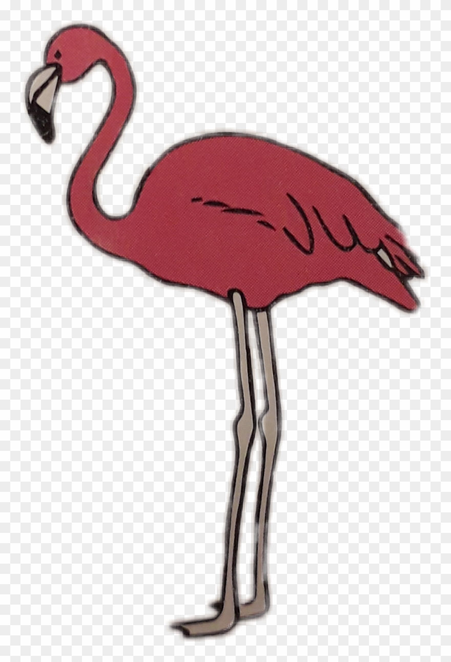 #flamingo #sommer #rosa - Greater Flamingo Clipart